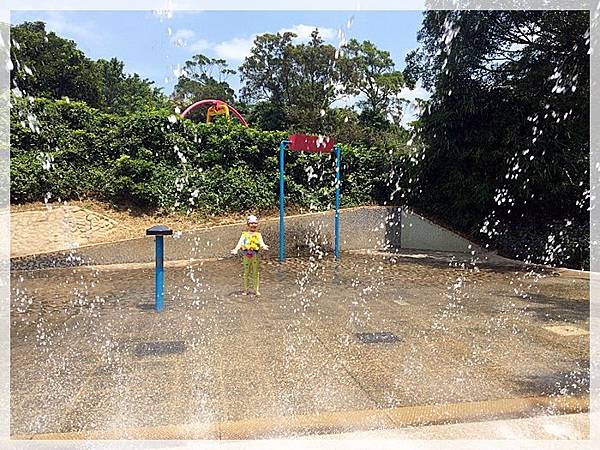 20170728_IMG_4874.JPG 20170728_IMG_4874.JPG