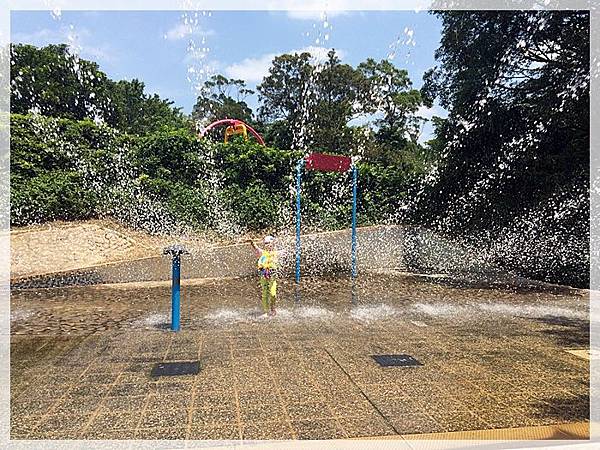 20170728_IMG_4878.JPG 20170728_IMG_4878.JPG