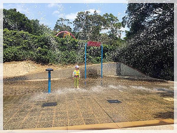 20170728_IMG_4875.JPG 20170728_IMG_4875.JPG