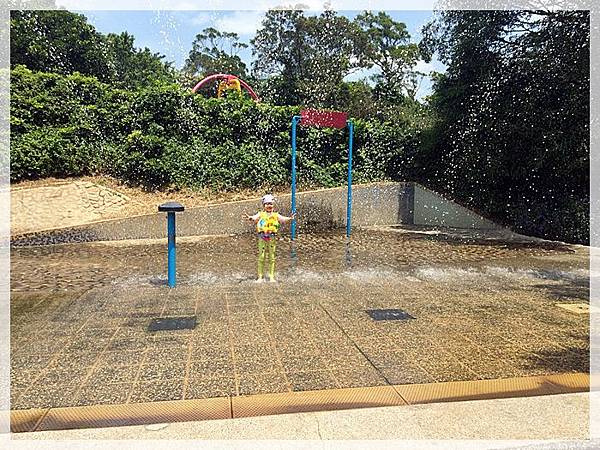 20170728_IMG_4880.JPG 20170728_IMG_4880.JPG