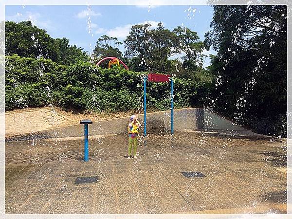 20170728_IMG_4881.JPG 20170728_IMG_4881.JPG