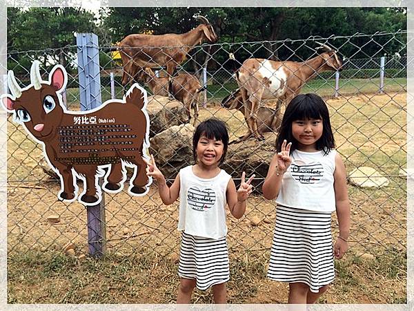 20170728_IMG_4951.JPG 20170728_IMG_4951.JPG