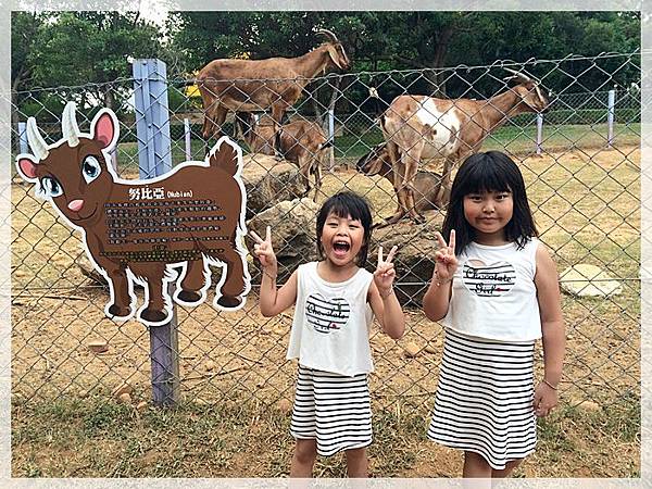 20170728_IMG_4952.JPG 20170728_IMG_4952.JPG