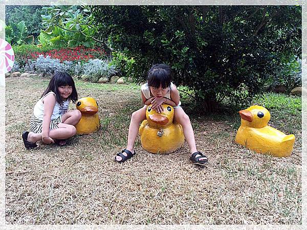 20170728_IMG_4962.JPG 20170728_IMG_4962.JPG