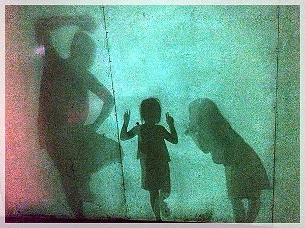 20170728_IMG_4982.JPG 20170728_IMG_4982.JPG