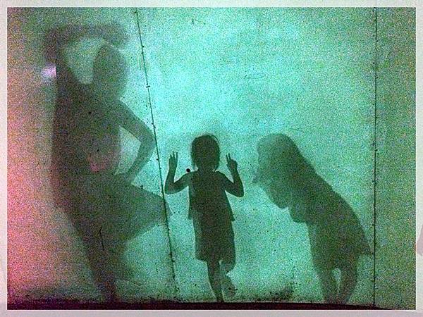 20170728_IMG_4983.JPG 20170728_IMG_4983.JPG