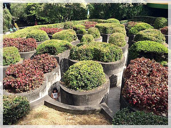 20170728_IMG_5010.JPG 20170728_IMG_5010.JPG