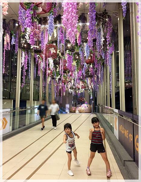 20180323_IMG_0267.JPG 20180323_IMG_0267.JPG