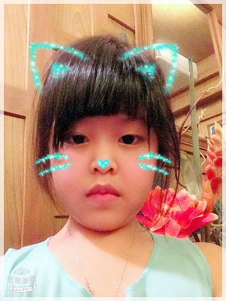 20180325_IMG_0420.JPG 20180325_IMG_0420.JPG