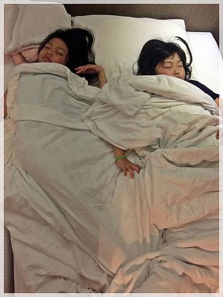 20180325_IMG_0443.JPG 20180325_IMG_0443.JPG