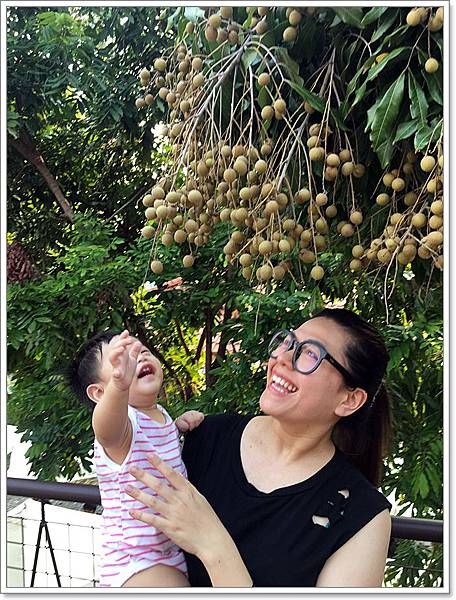 20180728_IMG_5779.JPG 20180728_IMG_5779.JPG