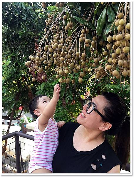 20180728_IMG_5783.JPG 20180728_IMG_5783.JPG