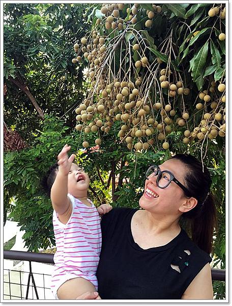 20180728_IMG_5780.JPG 20180728_IMG_5780.JPG