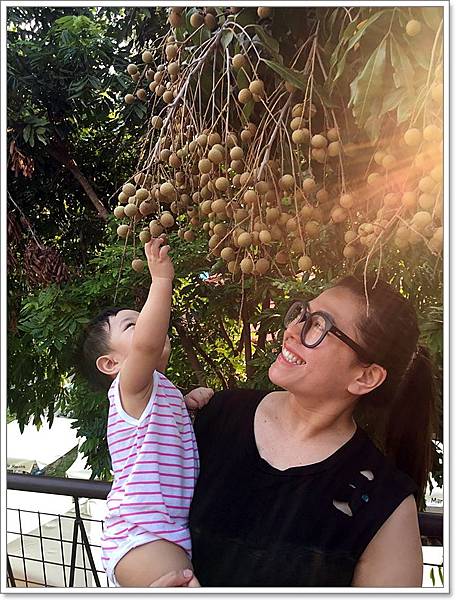 20180728_IMG_5782.JPG 20180728_IMG_5782.JPG