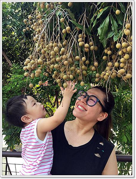 20180728_IMG_5785.JPG 20180728_IMG_5785.JPG