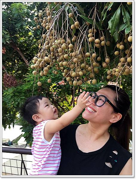 20180728_IMG_5784.JPG 20180728_IMG_5784.JPG