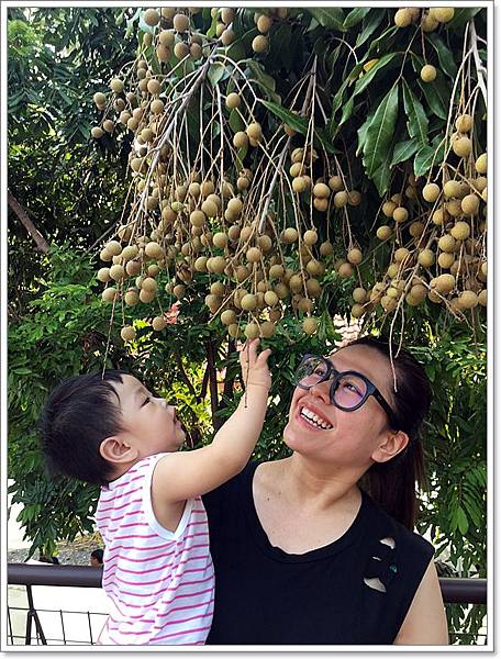 20180728_IMG_5786.JPG 20180728_IMG_5786.JPG