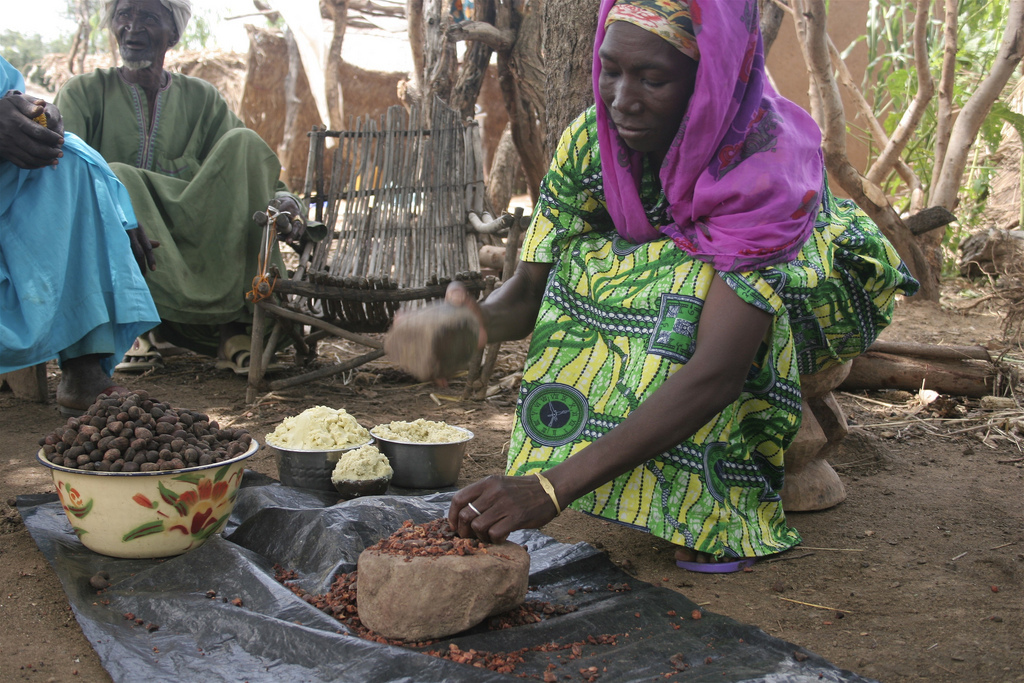 Shea_nut_processing_in_Burkina_Faso