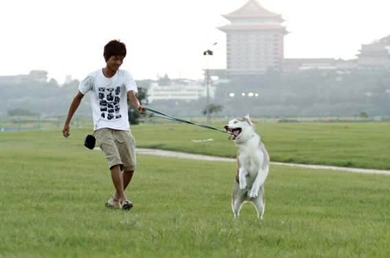 大佳河濱公園_不受控制的狗.jpg