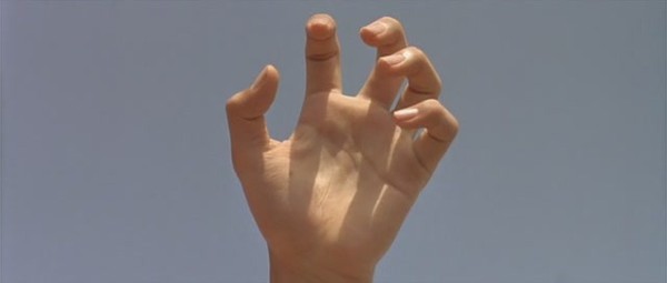 thumb.jpg