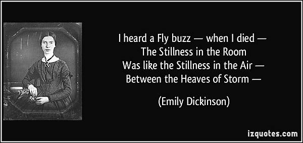 quote-i-heard-a-fly-buzz-when-i-died-the-stillness-in-the-room-was-like-the-stillness-in-the-emily-dickinson-224335