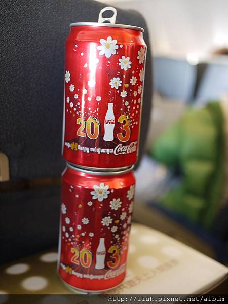 2013版的可樂瓶好漂亮啊!每次搭機都要來一罐 XD