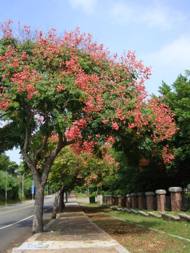 ap_F23_20101001083139836[1].jpg