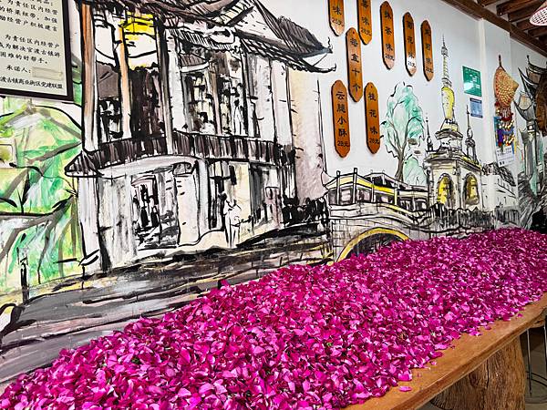 2024雲南自由行旅行日記（昆明｜大理｜麗江｜沪沽湖）D 1