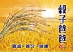 穀子爸爸 logo 小 s150.jpg