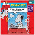 snoopy-mosaic night.jpg