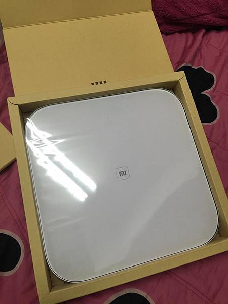 12048830_1076309529048799_472456187_n