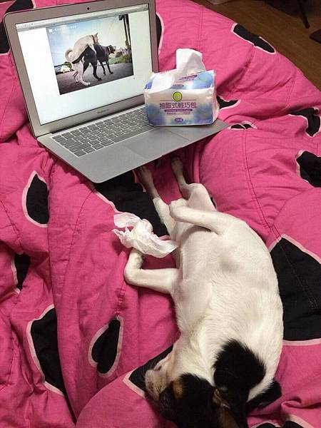 14859375_1338123756200707_2113978700_o.jpg 14859375_1338123756200707_2113978700_o.jpg