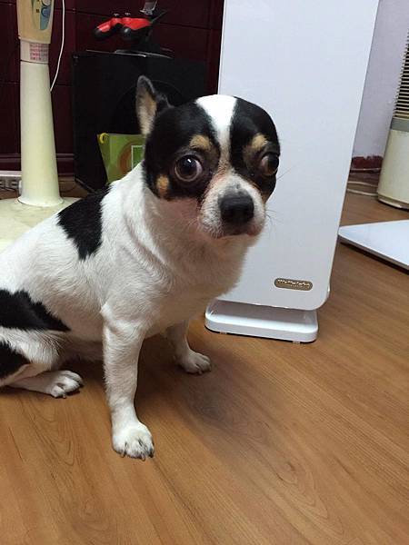 14803039_1338123672867382_719328977_o.jpg 14803039_1338123672867382_719328977_o.jpg