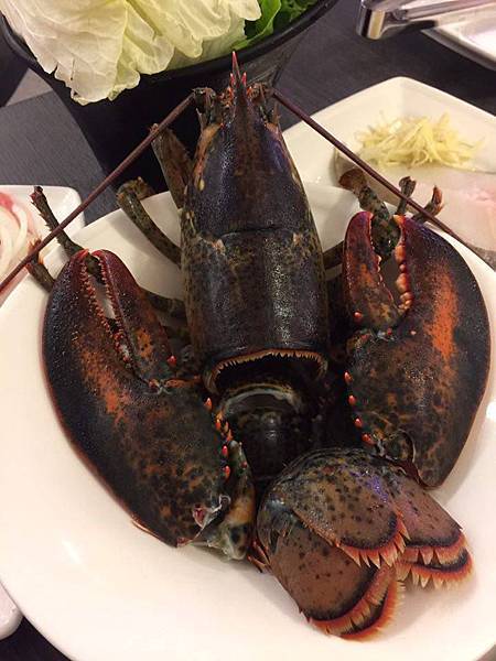 15139507_1361540797192336_1922217958_n.jpg 15139507_1361540797192336_1922217958_n.jpg