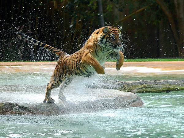 20111027233112.jpg 20111027233112.jpg