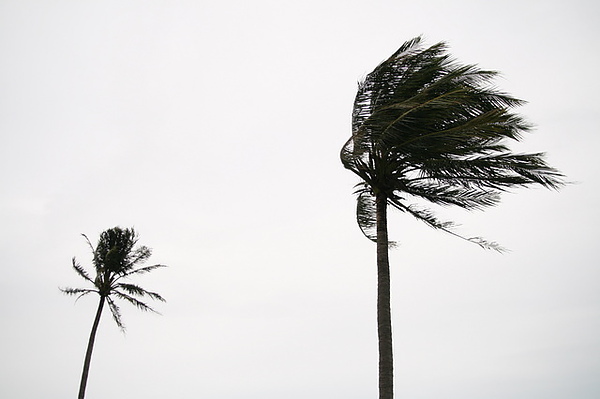 69cbaa4cgc7d7aecbf882%26;690.jpg 69cbaa4cgc7d7aecbf882%26;690.jpg