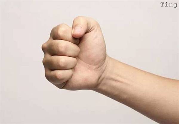 6358783730416952032992340.jpg 6358783730416952032992340.jpg