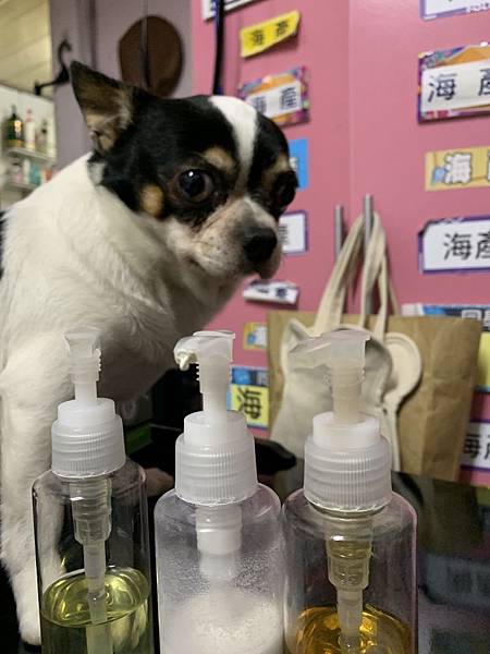 IMG_4496.JPG IMG_4496.JPG