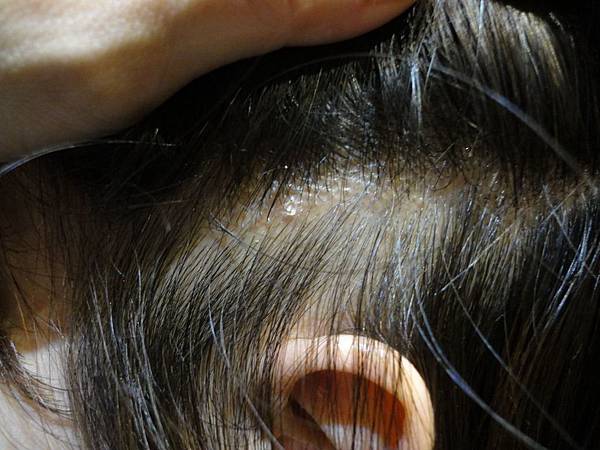 DSC09409.jpg DSC09409.jpg