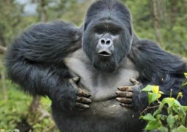 截圖 2020-10-09 下午4.19.24.png 截圖 2020-10-09 下午4.19.24.png