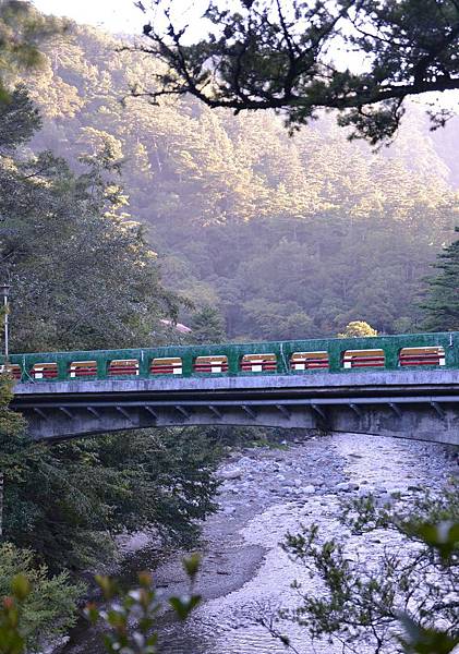 DSC_0462(001).jpg DSC_0462(001).jpg