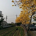 芬園6.jpg