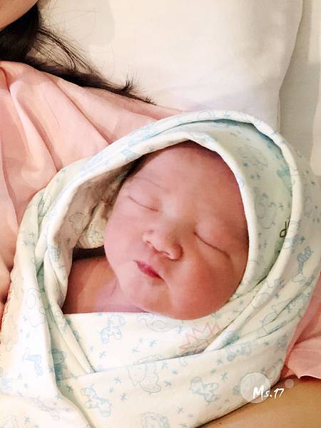 IMG_6694.jpg IMG_6694.jpg