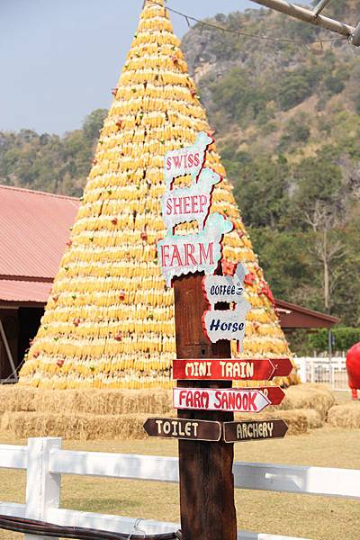 Swiss Sheep Farm Hua Hin