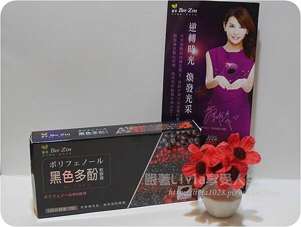 P1010572 試用