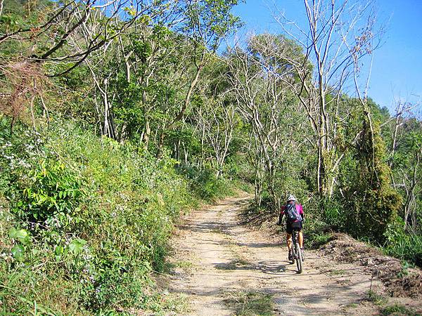 IMG_0019.jpg IMG_0019.jpg