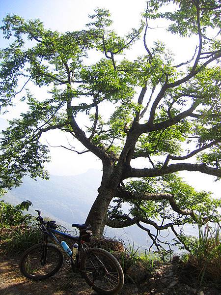 IMG_0021.jpg IMG_0021.jpg