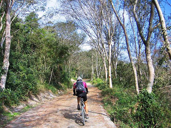 IMG_0031.jpg IMG_0031.jpg