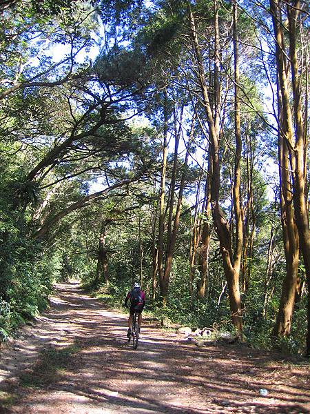 IMG_0039.jpg IMG_0039.jpg