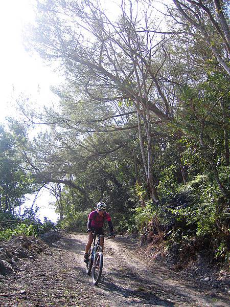 IMG_0037.jpg IMG_0037.jpg